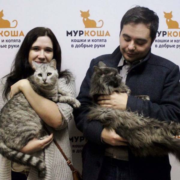 Итоги работы с  13 по 19 марта 2016