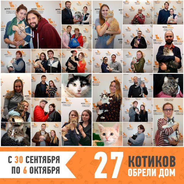 Итоги работы с 30 сентября по 6 октября