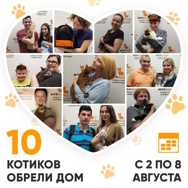 Итоги работы Adoption центра с 2 по 8 августа 2021г.
