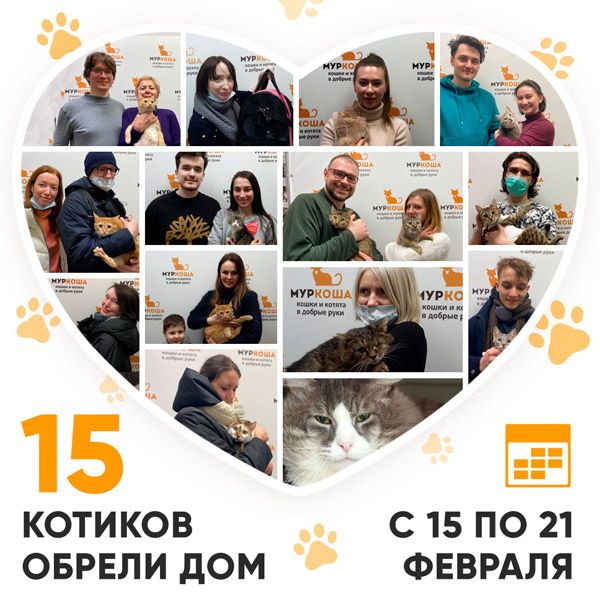 Итоги работы Adoption центра с 15 по 21 февраля 2021г.
