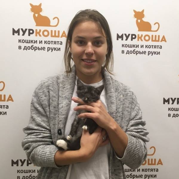 Итоги работы с 23 по 29 октября