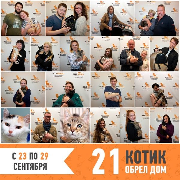 Итоги работы приюта с 23 по 29 сентября