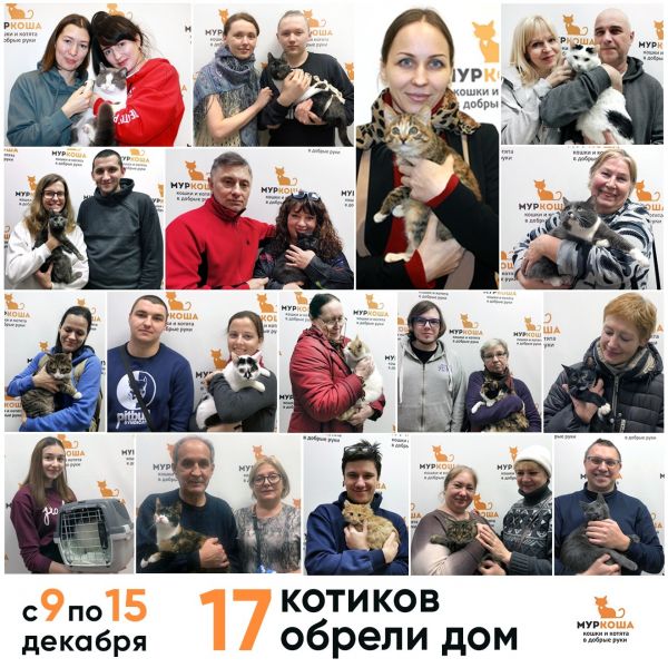 Итоги работы приюта с 9 по 15 декабря