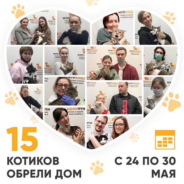 Итоги работы Adoption центра с 24 по 30 мая 2021г.