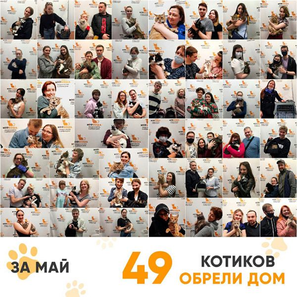 Итоги работы Adoption центра за май 2021г.