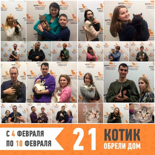 Итоги работы с 4 по 10 февраля