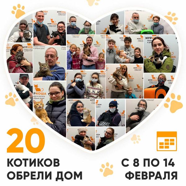 Итоги работы Adoption центра с 8 по 14 февраля 2021г.