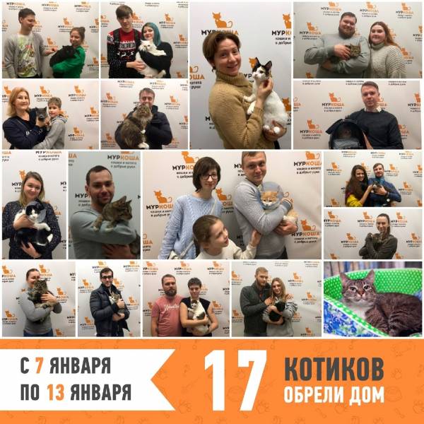 Итоги работы с 7 по 13 января