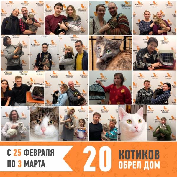 Итоги работы с 25 февраля по 3 марта