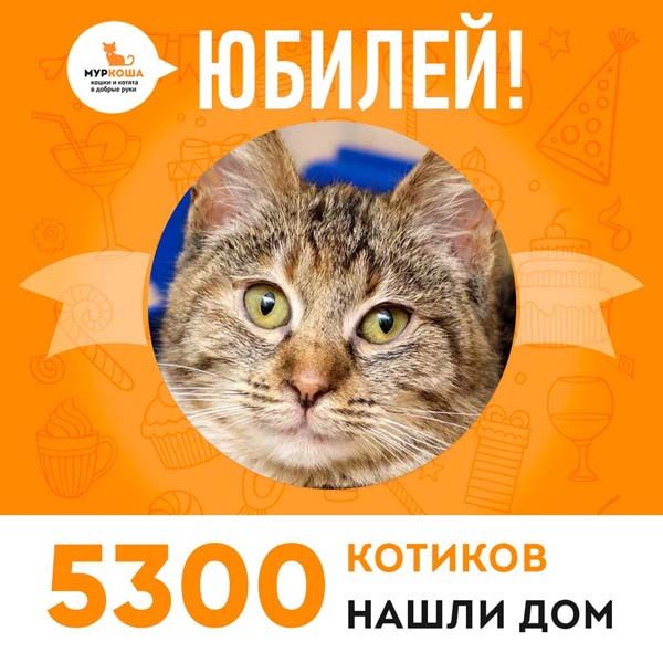 Кошечка Шуня стала 5300-ой выпускницей "Муркоши"!