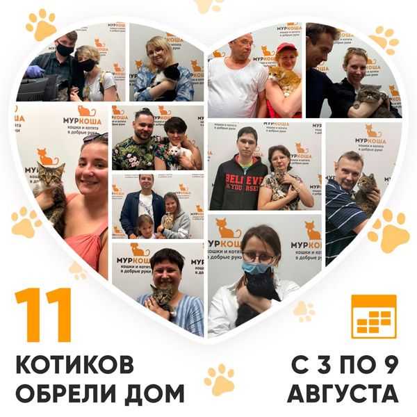 Итоги работы Adoption центра с 3 по 9 августа