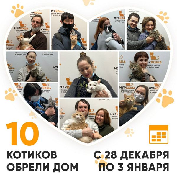 Итоги работы Adoption центра с 28 декабря 2020г. по 3 января 2021г.