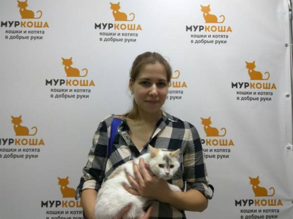 Итоги работы  с 4 по 10 декабря 2017