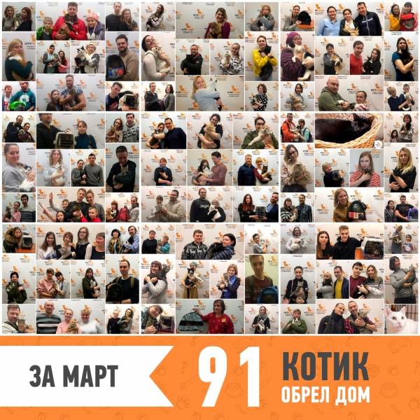 Итоги работы за март 2019
