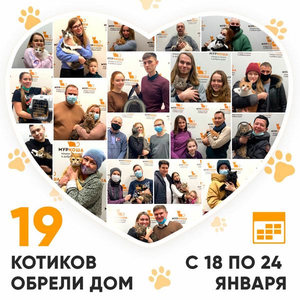 Итоги работы Adoption центра с 18 по 24 января 2021г.