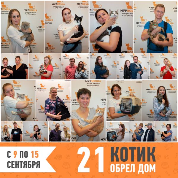 Итоги работы приюта с 9 по 15 сентября
