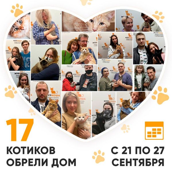 Итоги работы Adoption центра с 21 по 27 сентября