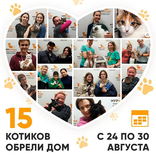 Итоги работы Adoption центра с 24 по 30 августа