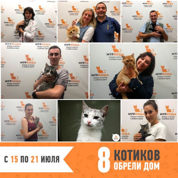 Итоги работы с 15 по 21 июня