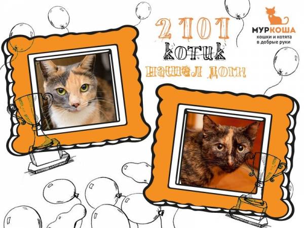 Итоги 2016
	  		  	
	  	
		  	
		  		Избранное