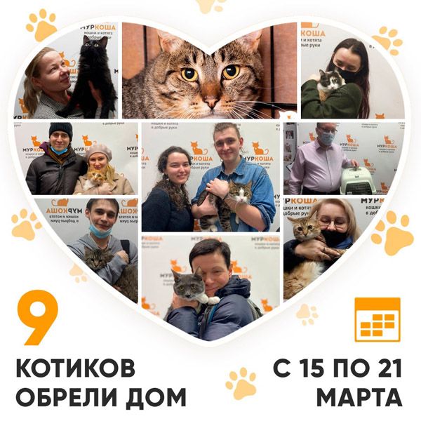 Итоги работы Adoption центра с 15 по 21 марта 2021г.