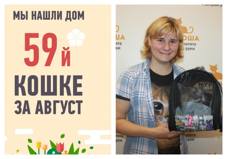 Долгожданное счастье семилетней кошки Ксюши, спасенной из квартиры собирательницы!