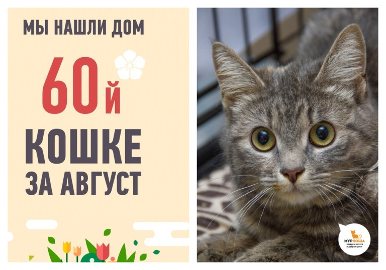 Котенок Румба встретила человека, которому можно доверять!