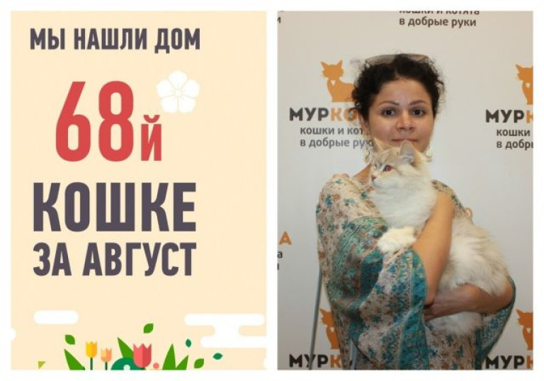 Одиннадцатилетняя Ластя стала домашней за три недели!