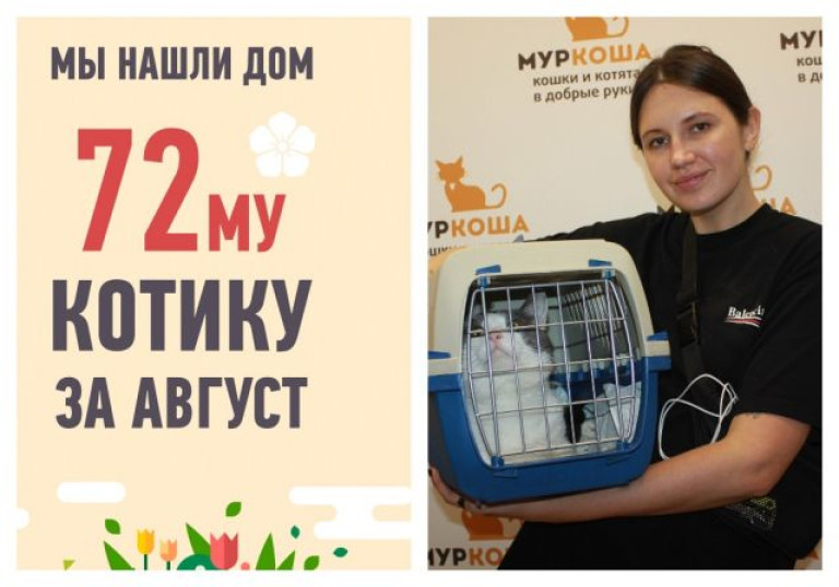 Брутальный Василио встретил свою прекрасную хозяйку за два месяца!