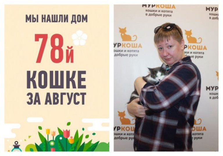 Счастливая история семимесячной кошки Люсечки!