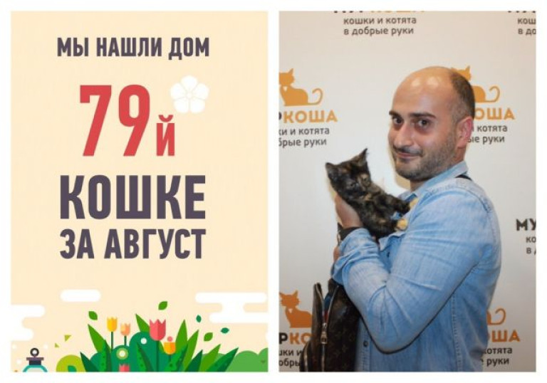 Спустя три недели мы нашли дом для маленькой Кшиси, сбитой машиной!