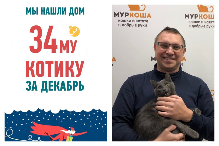 У котика Каспера спустя полтора месяца в приюте появился хозяин!