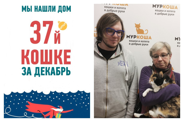 У трехлетней кошки Фионы начинается новая жизнь!