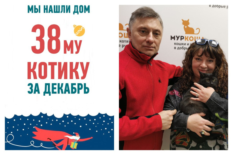 У котика Аса появилась любящая семья и уютный дом!