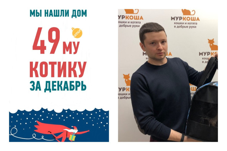 Семилетний кот Лапсик вновь стал счастливым и домашним!