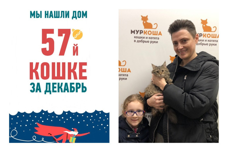 Меньше, чем за два месяца, Варюша стала домашней!