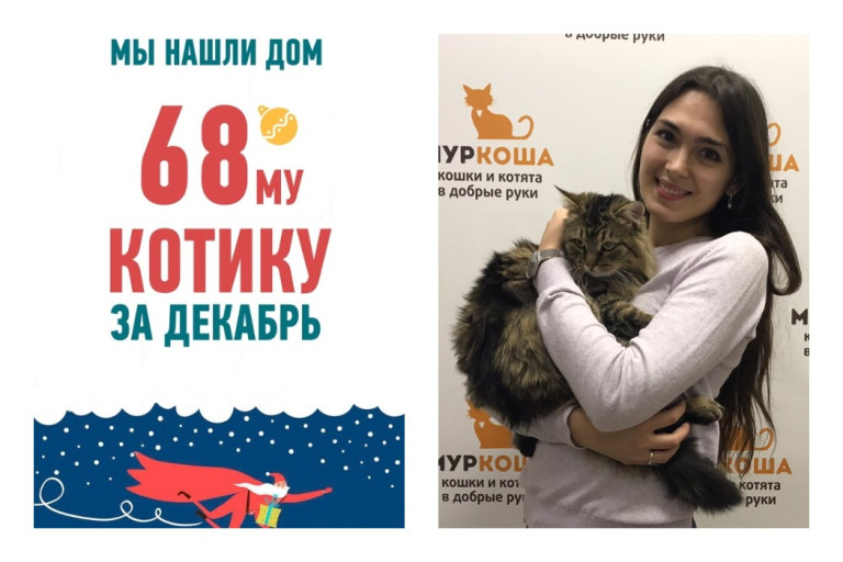 Двухлетний Тарас нашел новый дом всего за два месяца!
