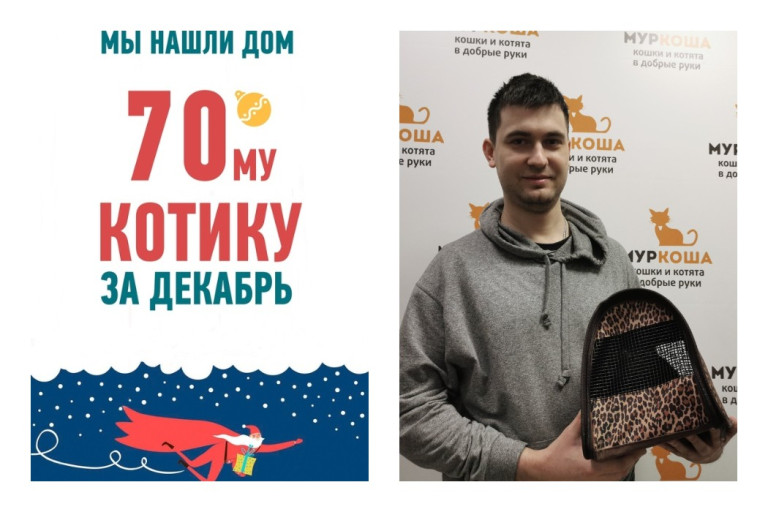 Мы нашли суперхозяина для кота Мэтью!
