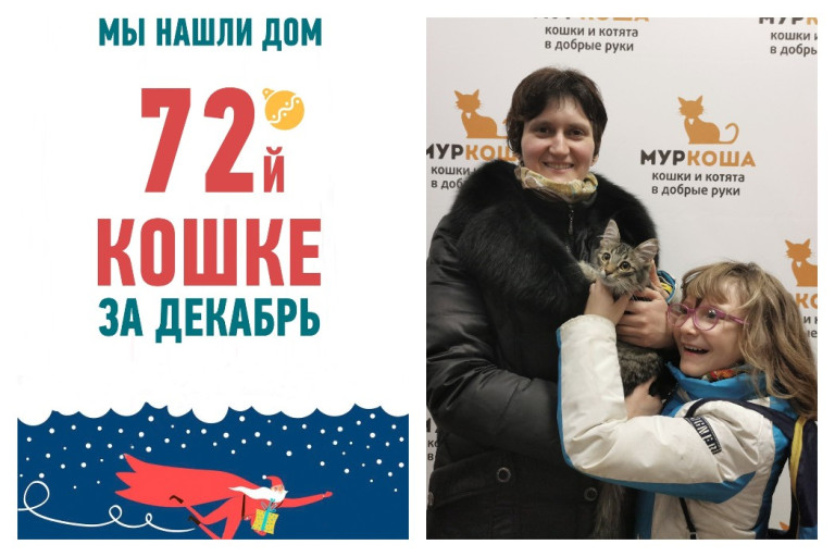 Пятимесячная Жуля встретит новый год в кругу семьи!