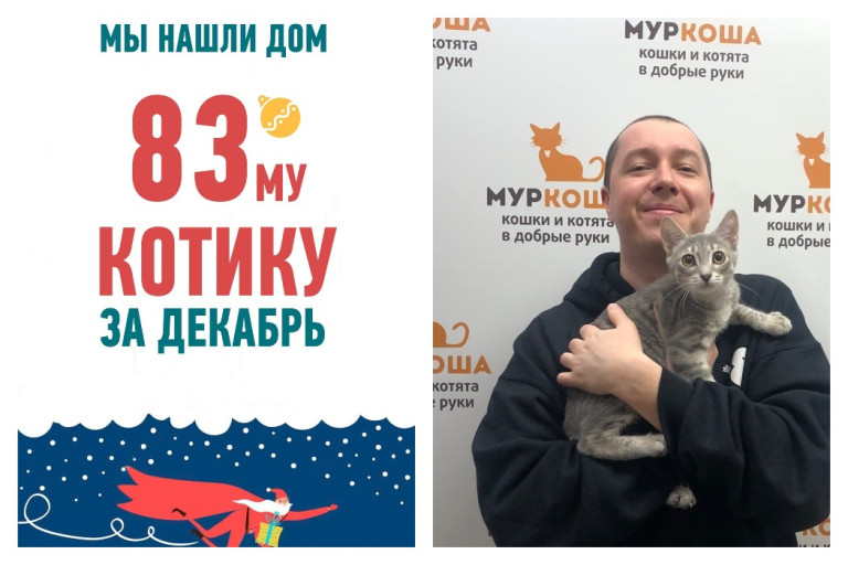 Провожаем домой пятимесячного котенка Альфика!
