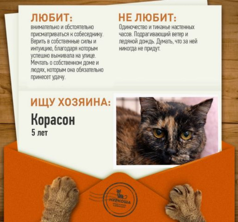 5-летняя Корасон не перестает надеяться на счастье!