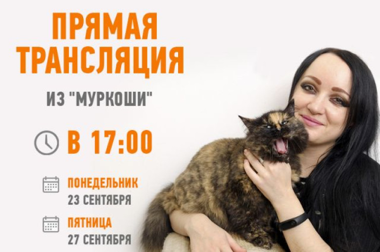 Новые трансляции 23 и 27 сентября