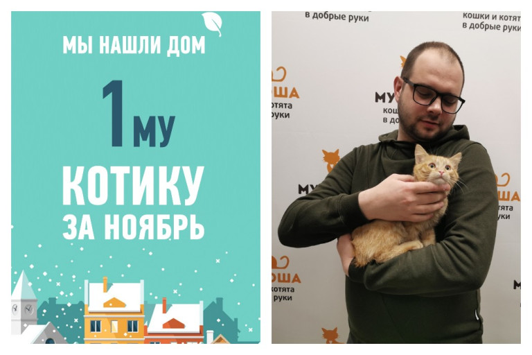 Пугливый Линкси обрел дом, в котором его будут любить всегда!