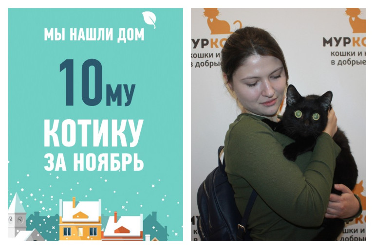 Меньше чем за месяц Котик Жерар обрел дом!