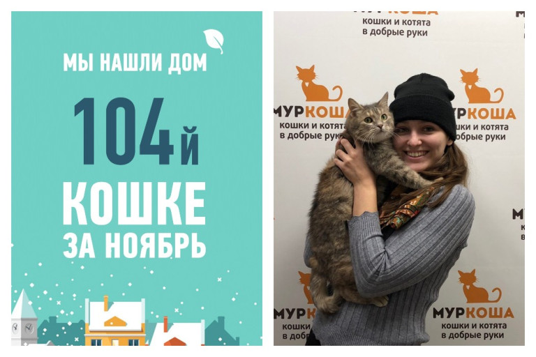 Спустя месяц в приюте у кошки Инаны появилась хозяйка!