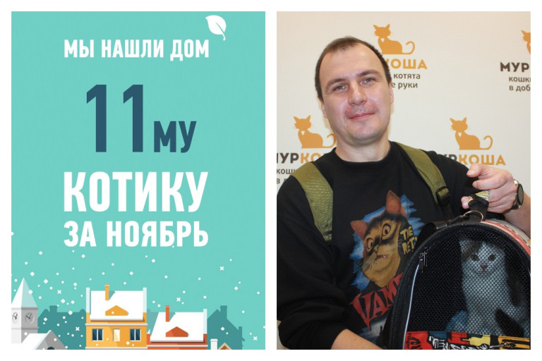 Четырехмесячный Ткачик стал домашним!