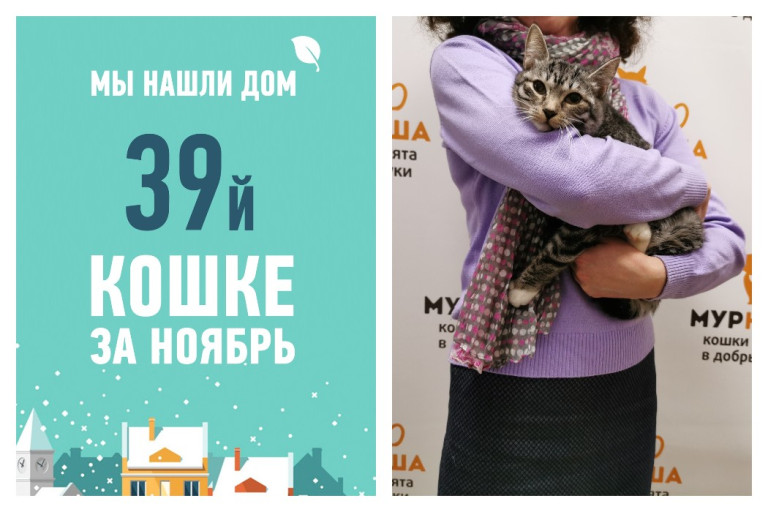 Шестимесячная Долька и ее счастливая история!