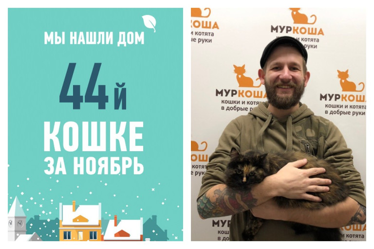 Провожаем домой кошку Бубочку!