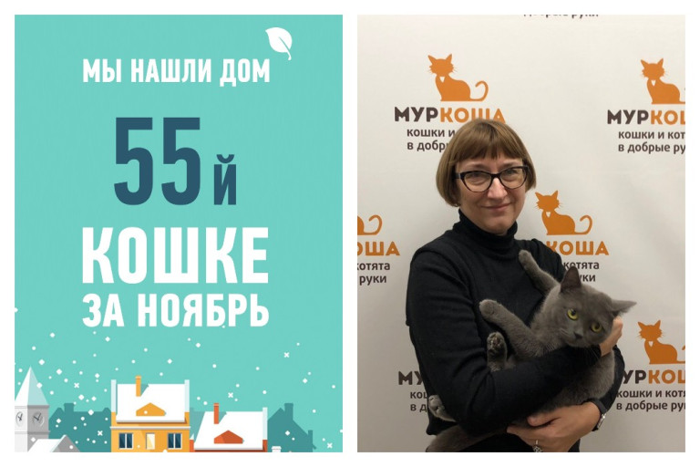 Провожаем Мериду спустя три недели в приюте
