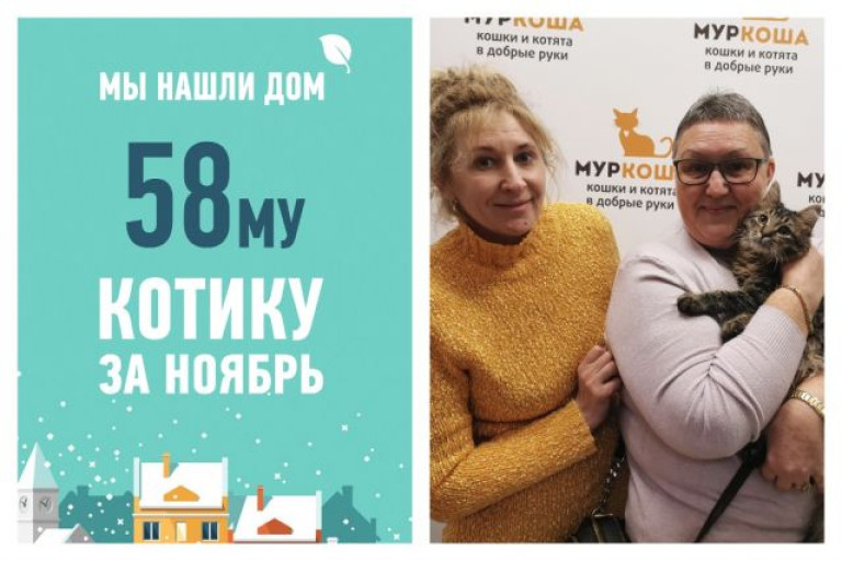 Стал домашним котенок Кренделек!
